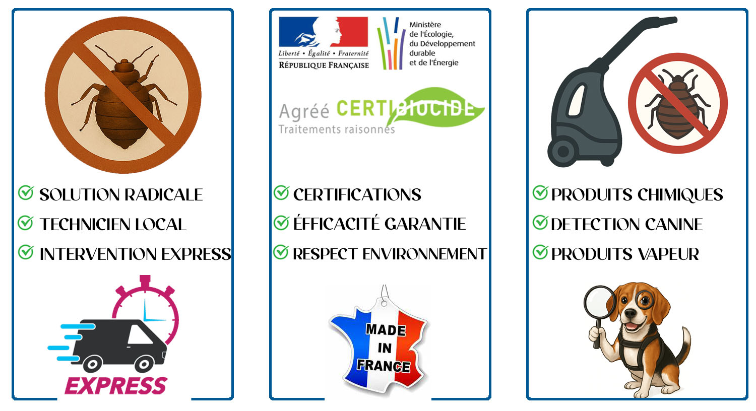 Punaises de Lit Le Plessis Robinson