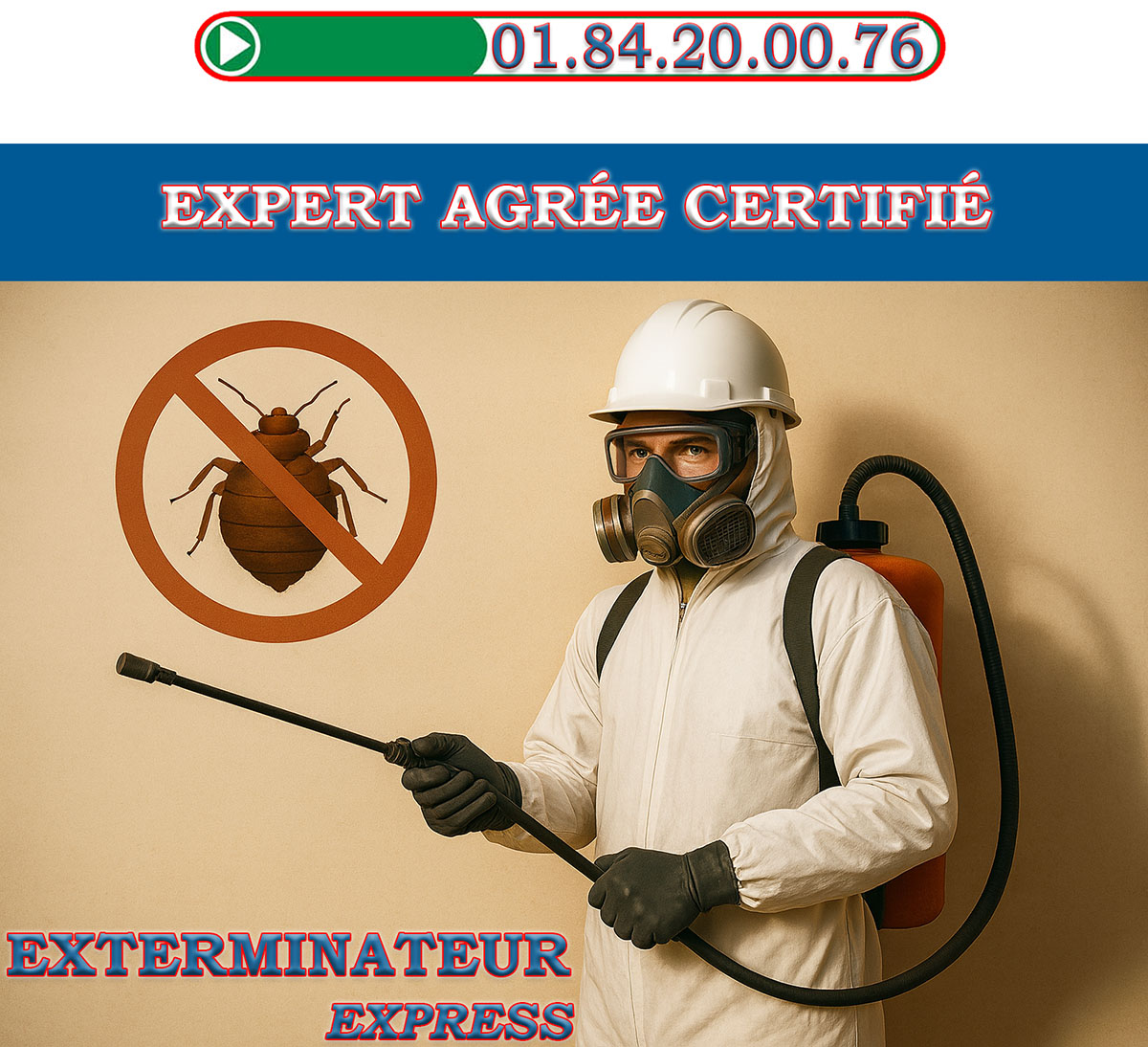 Punaises de Lit Le Plessis Robinson